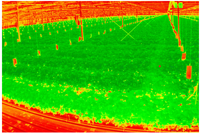 2020 - 3DCAM - 3D camera monitoring of alpine plant communities after experimental warming